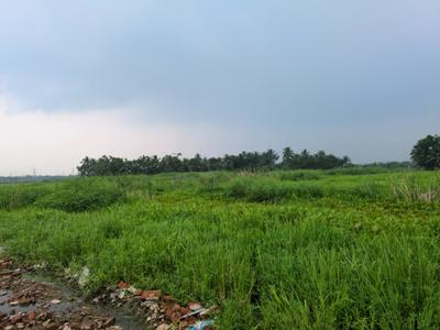 Nest Valley Plot View 2