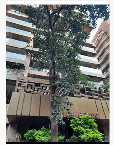 Image of 1200 Sq.ft 3 BHK Apartment / Flat for sale in K Mordani XVI Avenue, Khar West, Mumbai for Rs. 75000000