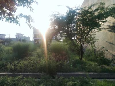 Image of 1250 Sq.ft Residential Plot / Land for sale in Wing Lucknow Greens Plots, Sultanpur Road, Lucknow for Rs. 5875000