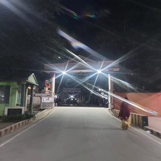 Dimna, Mango Main Image 1