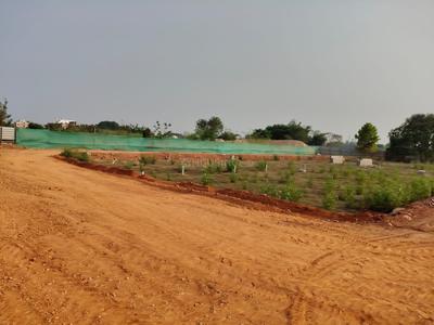 Malipada Plot View 3