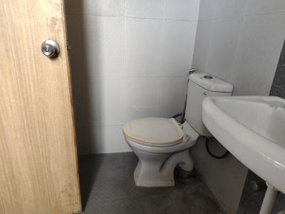 Image of 980 Sq.ft 2 BHK Apartment / Flat for rent in Kumar Palmcrest, Kondhwa Budruk, Pune for Rs. 17000
