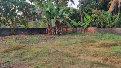 Image of 1740 Sq.ft Residential Plot / Land for sale in Choornikkara, Aluva for Rs. 6400000