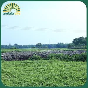 Image of 1442 Sq.ft Residential Plot / Land for sale in Amtala, Kolkata for Rs. 650000