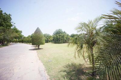 Image of 2323 Sq.ft Residential Plot / Land for sale in Kolat, Ahmedabad for Rs. 80000000