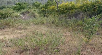 Image of 8712 Sq.ft Residential Plot / Land for sale in Nandi Hills, Chikballapur District for Rs. 20000000