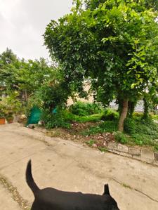 Image of 1802 Sq.ft Residential Plot / Land for sale in Aarone County Walk Plots, County Walk Township, Indore for Rs. 10000000