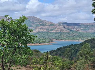 Image of 11000 Sq.ft Residential Plot / Land for sale in Mulshi, Pune for Rs. 3500000