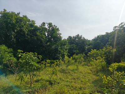 Agricultural Land