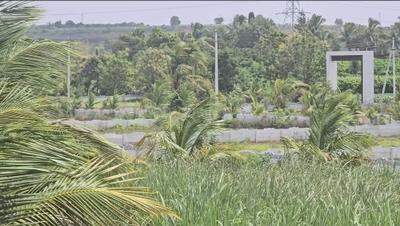 Image of 12500 Sq.ft 2 BHK Farm House for sale in Ranjangaon, Pune for Rs. 4500000