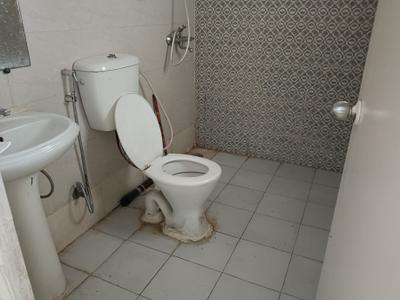 Bathroom Image of 530 Sq.ft 1 BHK Apartment / Flat for rent in Gaurs 14th Avenue, Noida Extension Greater Noida for Rs. 17000