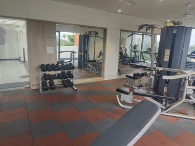 Image of 690 Sq.ft 1 BHK Apartment / Flat for rent in Siddhashila Eela, Punawale, Pune for Rs. 22000