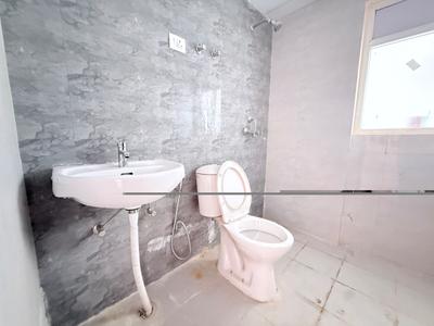 Image of 1115 Sq.ft 2 BHK Apartment / Flat for rent in Amrapali Dream Valley 2, Noida Extension, Greater Noida for Rs. 18000
