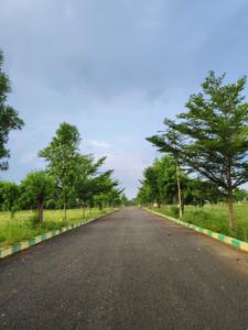 Image of 200 Sq.ft Residential Plot / Land for sale in Subhagruha Sukrithi Saanvi, Thagarapuvalasa, Visakhapatnam for Rs. 3203000