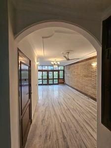 Hall Image of 750 Sq.ft 1 BHK Independent House for rent in Malviya Nagar New Delhi for Rs. 28500