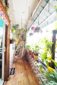 Balcony Image of 800 Sq.ft 2 BHK Apartment / Flat for sale in Talegaon Dabhade Pune for Rs. 2900000