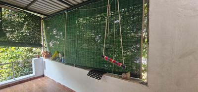 Balcony Image of 1800 Sq.ft 2 BHK Independent House for rent in Perambur Chennai for Rs. 24000