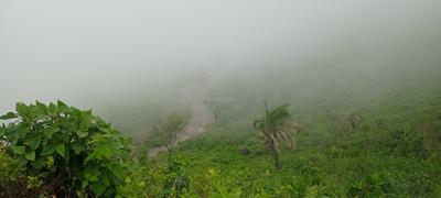 Sai kirpa Plot View 3