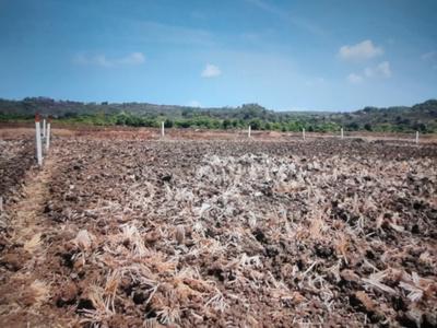 Ulwe Plot View 1