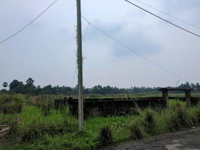 Wander Valley Plot View 1