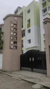 Image of 1165 Sq.ft 3 BHK Apartment / Flat for rent in Mango, Jamshedpur for Rs. 13500