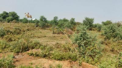 Image of 1881 Sq.ft Residential Plot / Land for sale in Jagatpura, Jaipur for Rs. 19855000