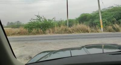 Image of 1000 Sq.ft Residential Plot / Land for sale in Bijnor, Lucknow for Rs. 2500000