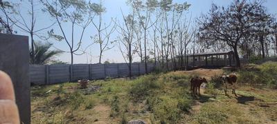 Image of 5328 Sq.ft Residential Plot / Land for sale in Alair, Yadadri Bhuvanagiri for Rs. 3000000