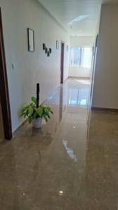 Hall Image of Colive Horwich  in Kasturi Nagar, Bengaluru