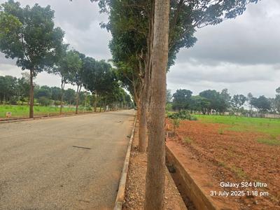 Devanahalli Plot View 3