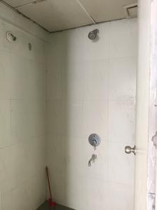 Common Bathroom Image of 695 Sq.ft 1 BHK Apartment / Flat for sale in Lodha Casa Rio, Palava Phase 1 Thane for Rs. 3050000