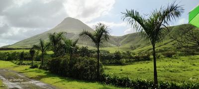Image of 4500 Sq.ft Residential Plot / Land for sale in Vilholi, Nashik for Rs. 8000000