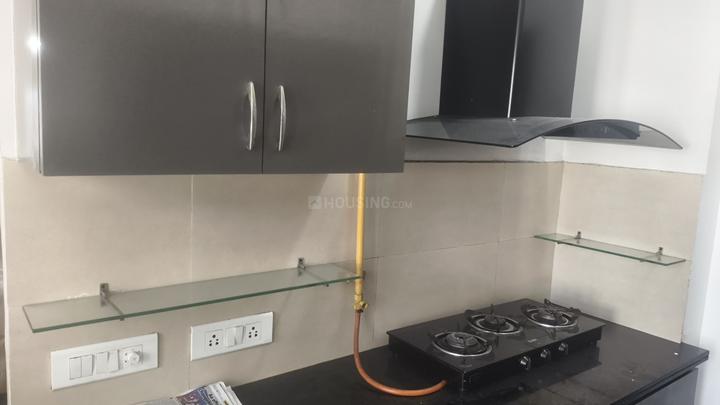 Adani Water Lily Main Image 1