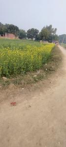 Image of 18900 Sq.ft Residential Plot / Land for sale in Mirzamurad, Varanasi for Rs. 17500000