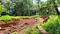 Govidapuram Plot View 2