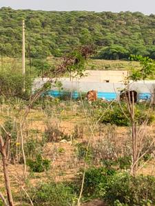 Image of 900 Sq.ft Residential Plot / Land for sale in Sector 56, Gurgaon for Rs. 1800000