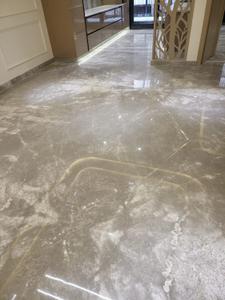 Hall Image of 1800 Sq.ft 3 BHK Builder Floor for sale in Ashok Vihar New Delhi for Rs. 45000000