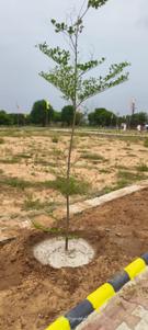 Brochure Image of 900 Sq.ft Residential Plot / Land for sale in Mahlan Jaipur for Rs. 2100000