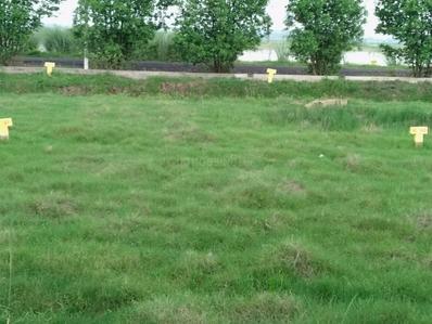 Image of 1650 Sq.ft Residential Plot / Land for sale in Pedapadu, Srikakulam for Rs. 7200000