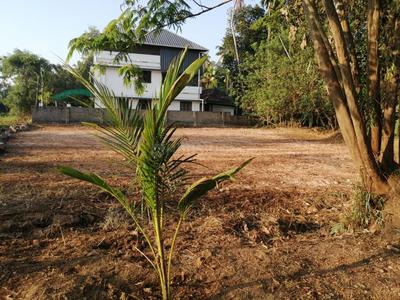 Panayikulam Plot View 3