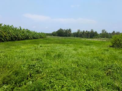 Residential Plot