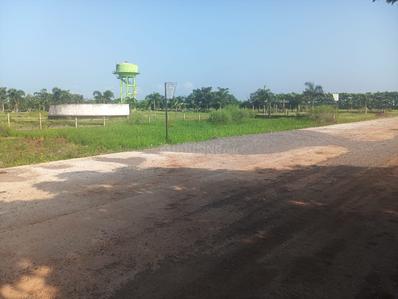 Image of 1000 Sq.ft Residential Plot / Land for sale in Pacheda 1, Raipur for Rs. 1200000