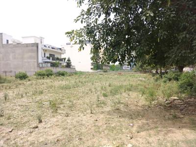 Image of 100 Sq.ft Residential Plot / Land for sale in Sector 45, Gurgaon for Rs. 36500000