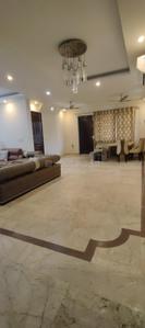 Hall Image of 1700 Sq.ft 3 BHK Builder Floor for rent in Sector 41 Gurgaon for Rs. 75000