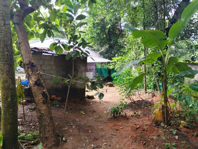 Image of 1500 Sq.ft 1 BHK Independent House for sale in Arangamugal, Thiruvananthapuram for Rs. 6600000