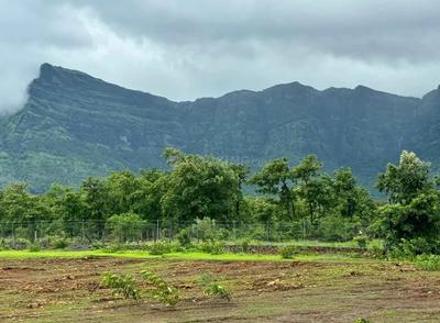 Image of 1089 Sq.ft Residential Plot / Land for sale in Pen, Raigad for Rs. 255000