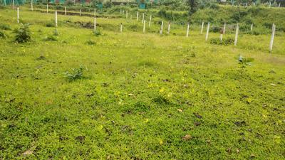 Image of 4500 Sq.ft Residential Plot / Land for sale in Karjat, Thane for Rs. 5000000