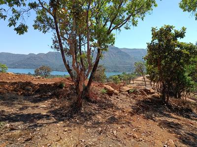 Image of 11000 Sq.ft Residential Plot / Land for sale in Mulshi, Pune for Rs. 3500000