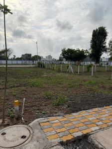 Warud Plot View 1