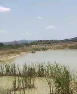 Image of 140000 Sq.ft Residential Plot / Land for sale in Chintamani, Chikballapur District for Rs. 85000000